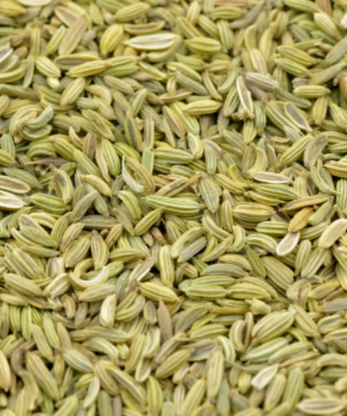 Fennel Seed